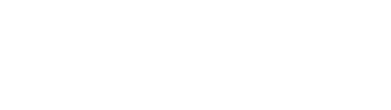 Boldt Global Store